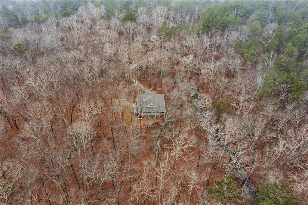1012 King Mill Road Property Photo 56