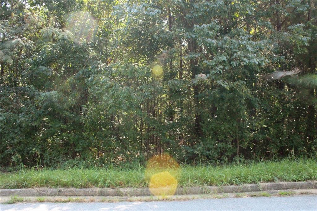 7718 Cheviot Drive Property Photo 11