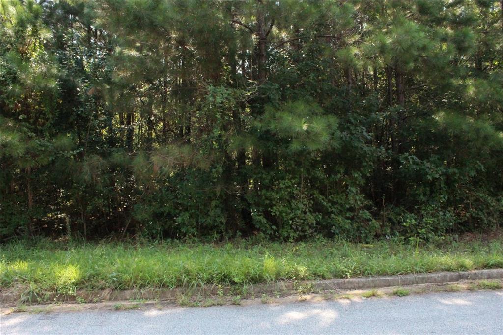 7718 Cheviot Drive Property Photo 13