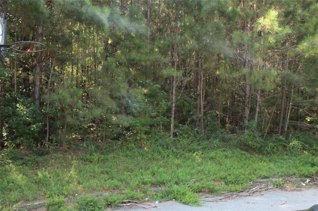 7728 Cheviot Drive Property Photo 14