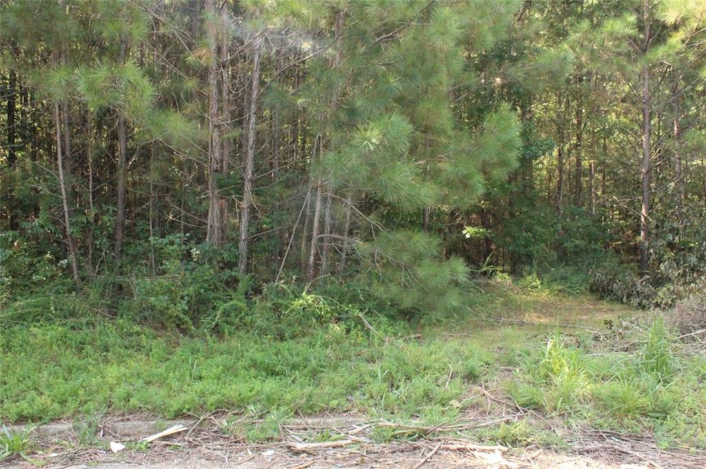 7728 Cheviot Drive Property Photo 15