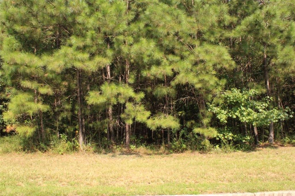 7699 Cheviot Drive Property Photo 8