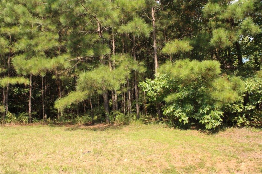 7699 Cheviot Drive Property Photo 9
