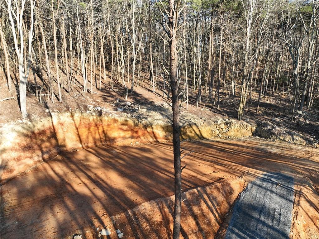 1776 Mulberry Circle Property Photo 3