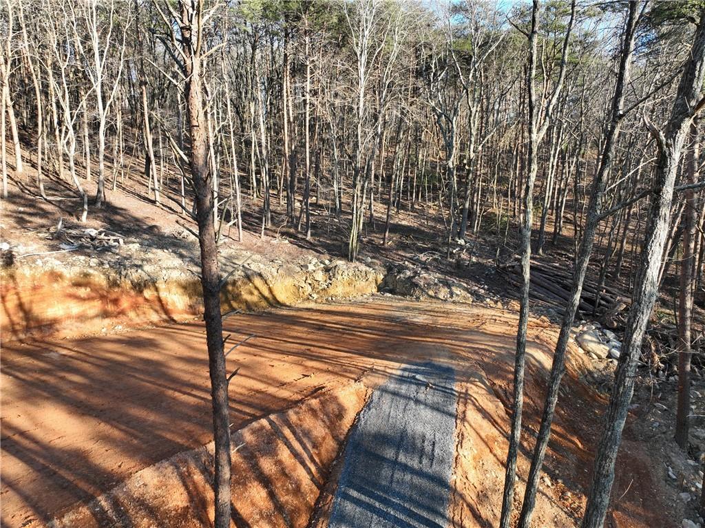 1776 Mulberry Circle Property Photo 4