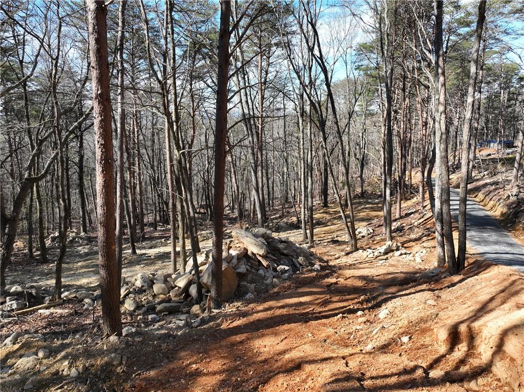 1776 Mulberry Circle Property Photo 10