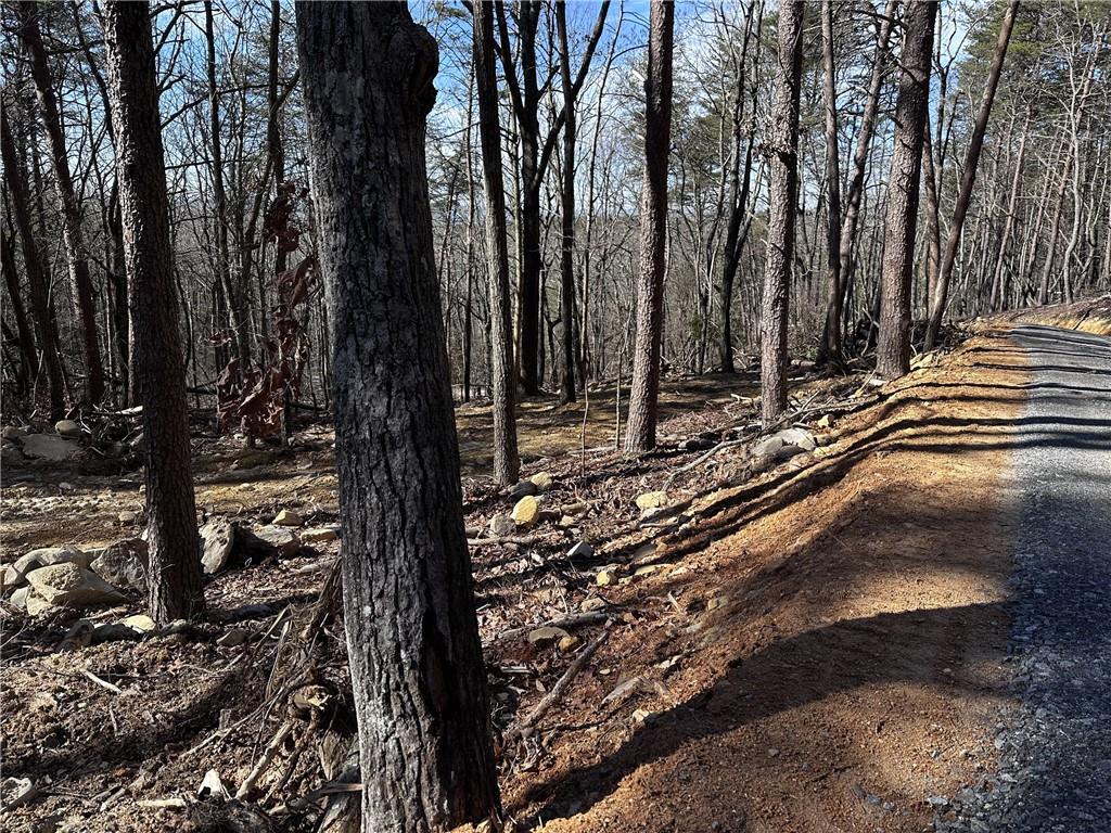 1776 Mulberry Circle Property Photo 14
