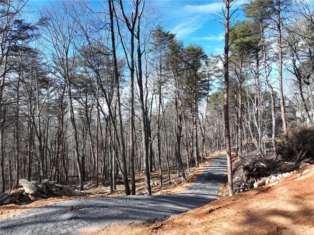 1776 Mulberry Circle Property Photo 18