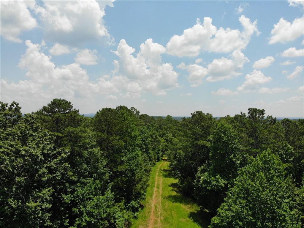 1600 White Road Property Photo 11
