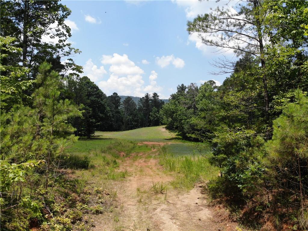 1600 White Road Property Photo 12