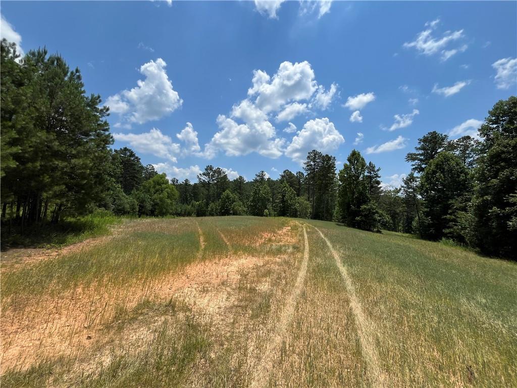 1600 White Road Property Photo 14