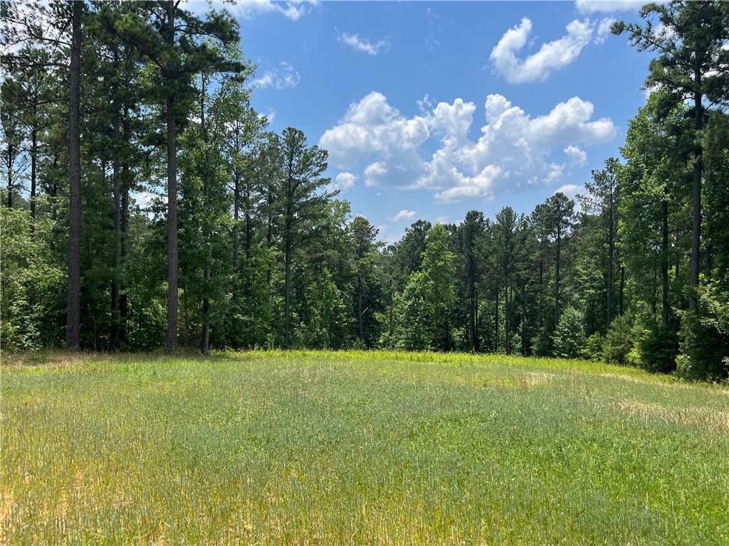 1600 White Road Property Photo 15