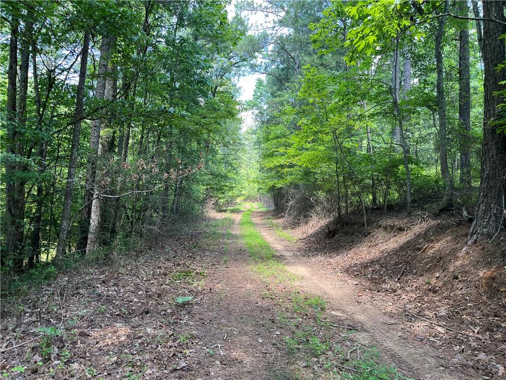 1600 White Road Property Photo 17