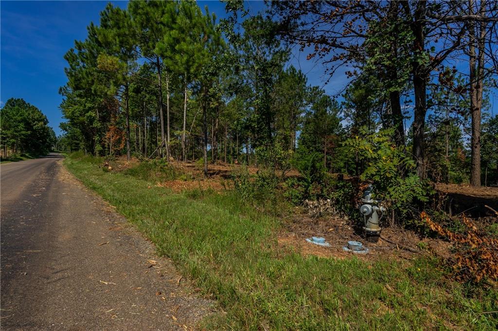 1 Young Loop Property Photo 2
