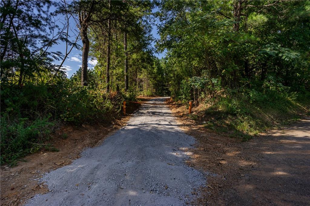 1 Young Loop Property Photo 5