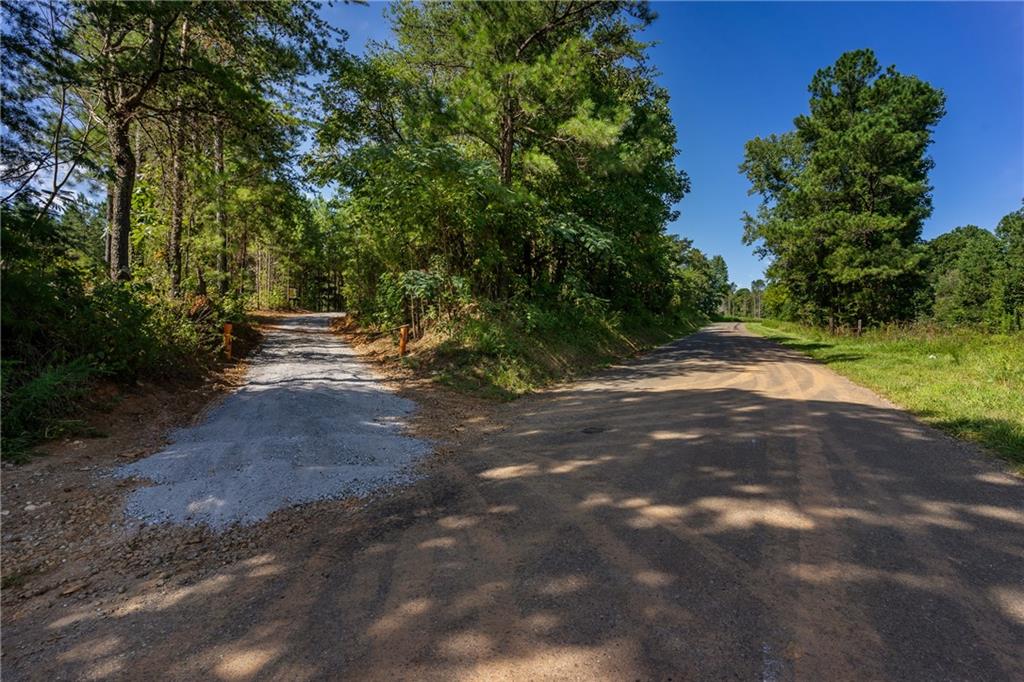 1 Young Loop Property Photo 6