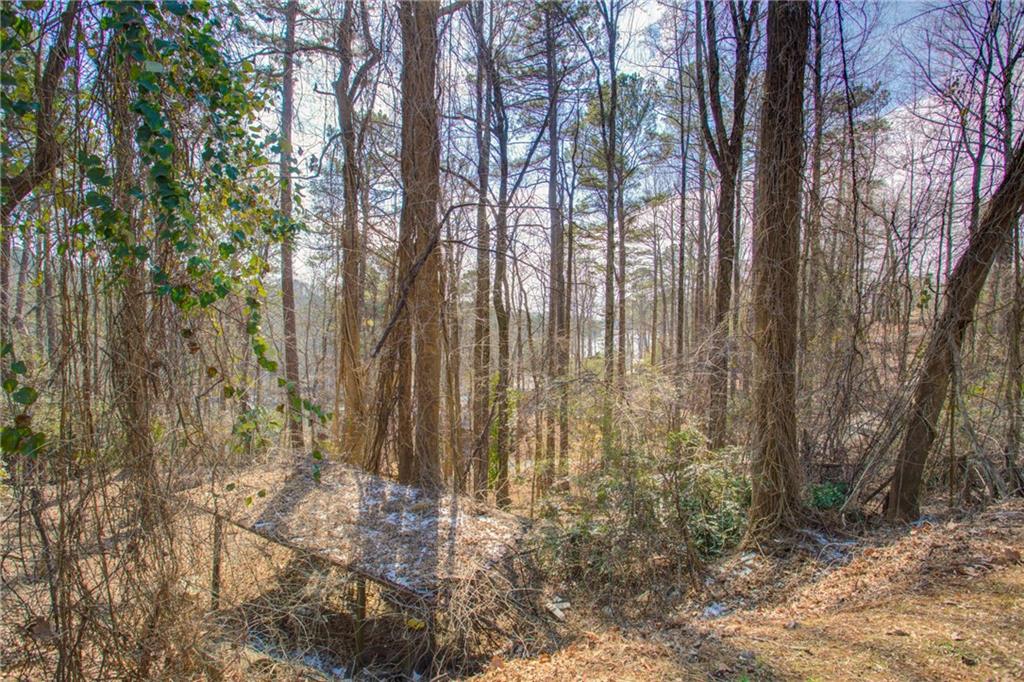 20 Pine Forest Circle Property Photo 6