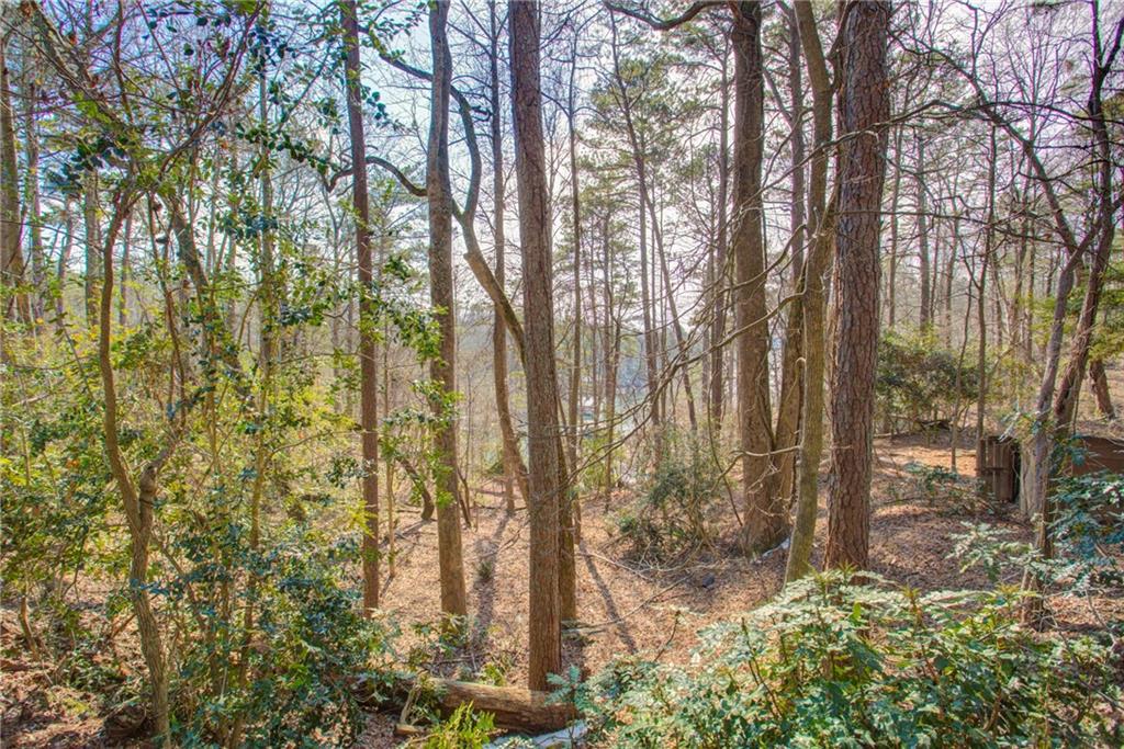 20 Pine Forest Circle Property Photo 10