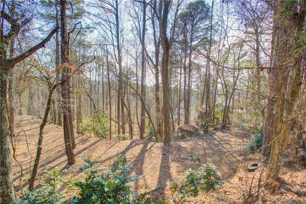 20 Pine Forest Circle Property Photo 11