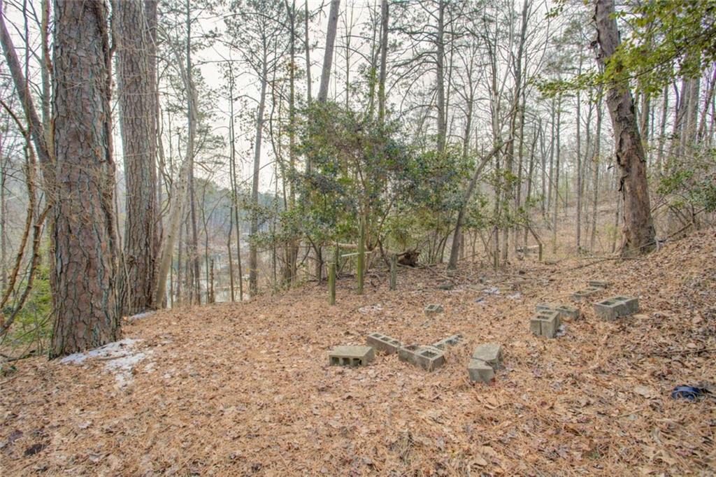 20 Pine Forest Circle Property Photo 12