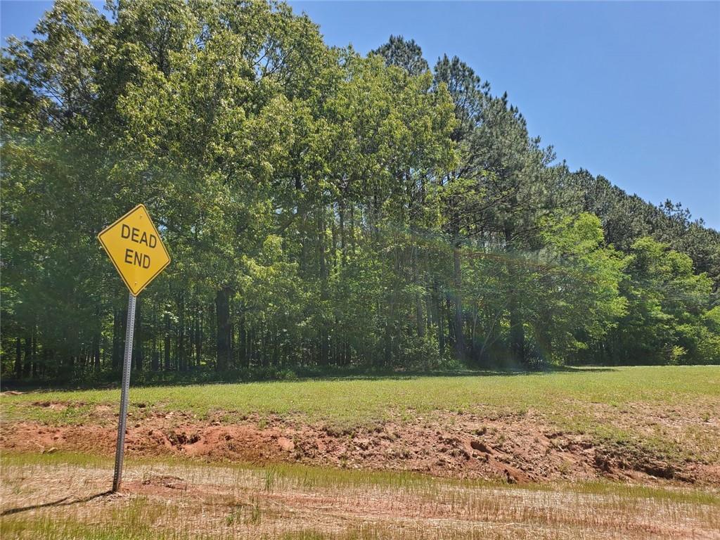 4549 Ball Ground Road Property Photo 7