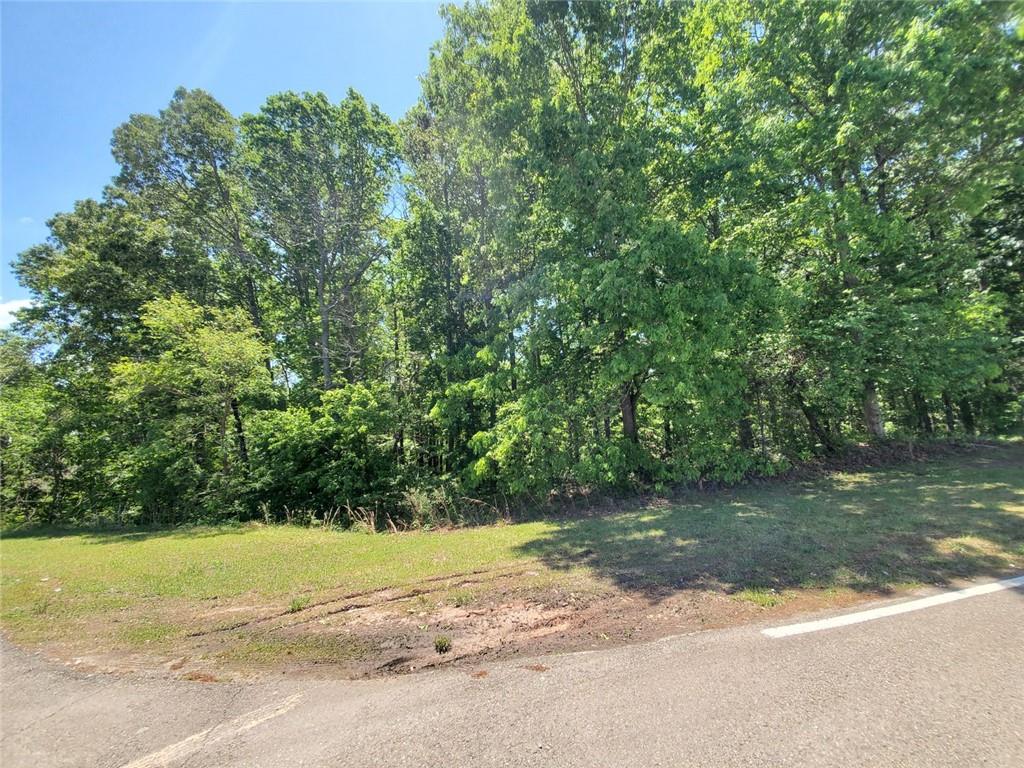4537 Ball Ground Road Property Photo 1