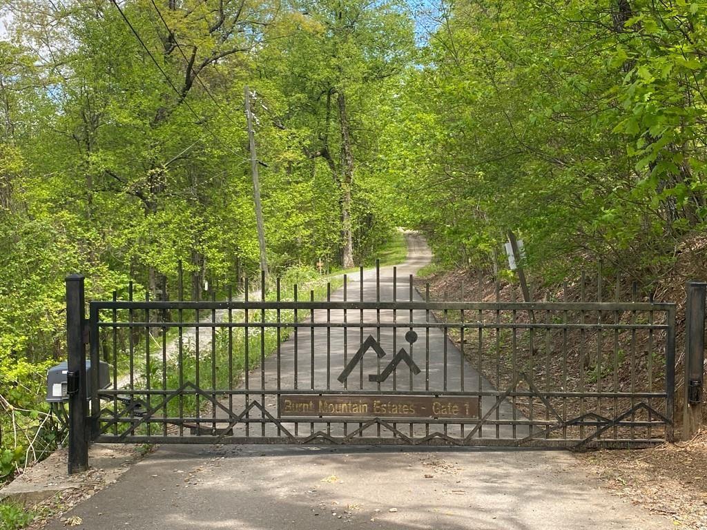 000 Burnt Mountain Cove Road Property Photo 1