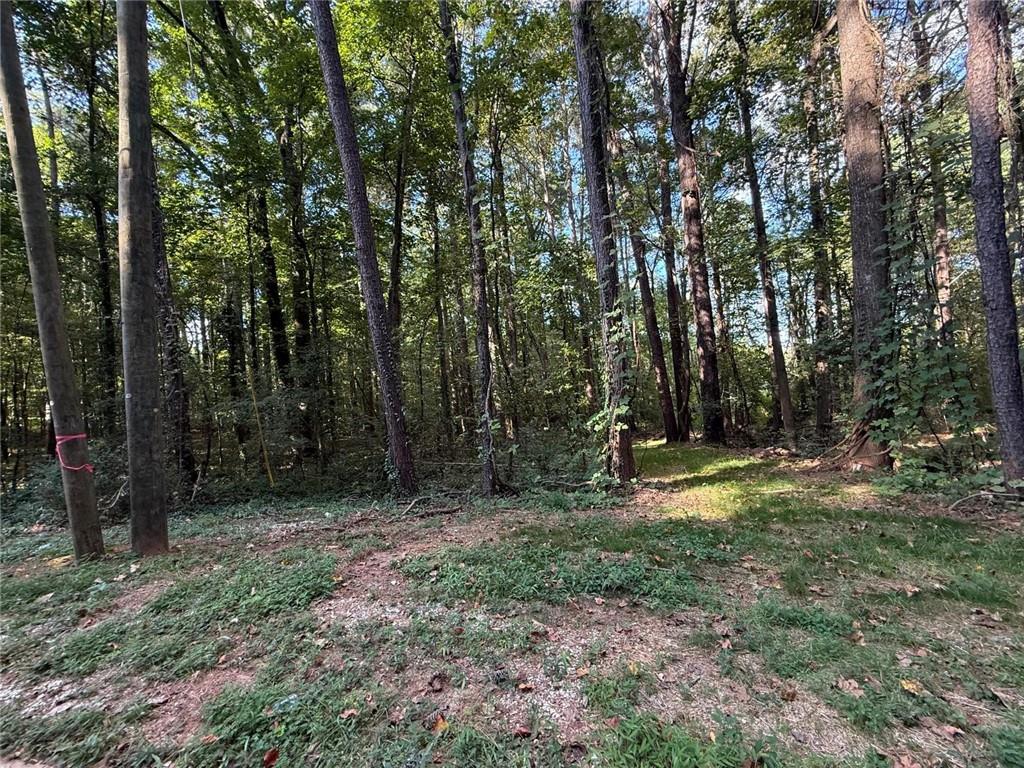 5160 Selene Drive Property Photo 1
