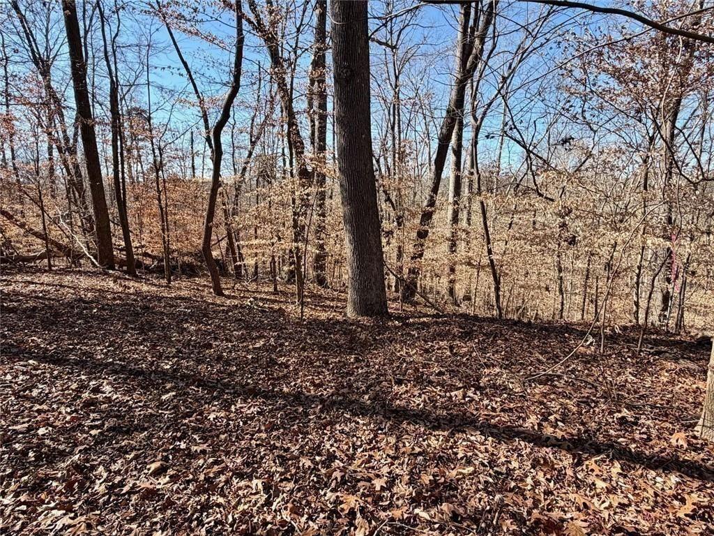 0 Arrowhead Court Property Photo 1