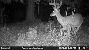 7596 Red Bud Ne Property Photo 28
