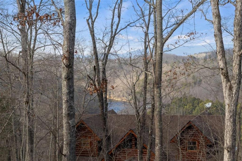 56 Robins Ridge Property Photo 46