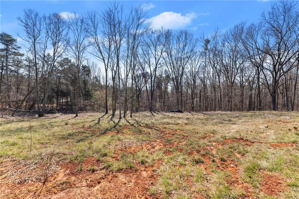 5419 Highway 320 Property Photo 4