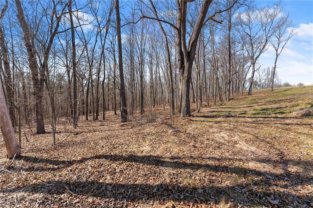 5419 Highway 320 Property Photo 5