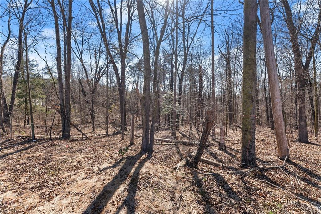 5419 Highway 320 Property Photo 6