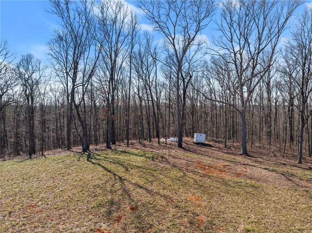 5419 Highway 320 Property Photo 8