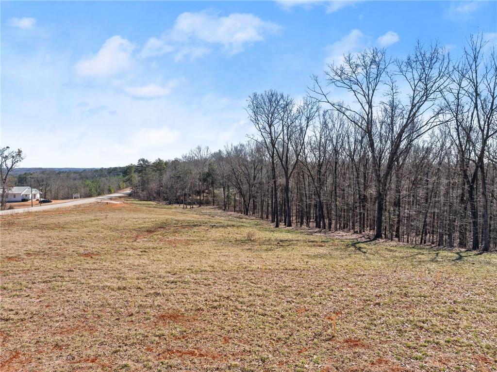 5419 Highway 320 Property Photo 9