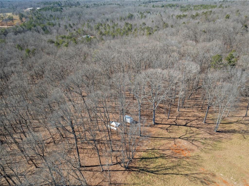 5419 Highway 320 Property Photo 11