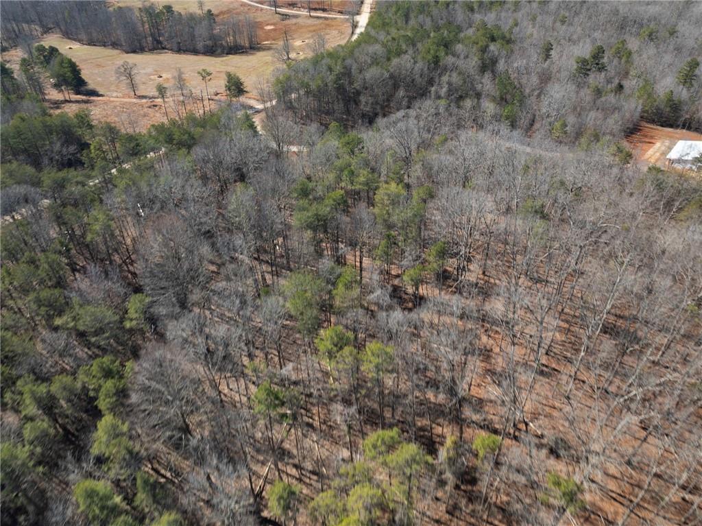 5419 Highway 320 Property Photo 13