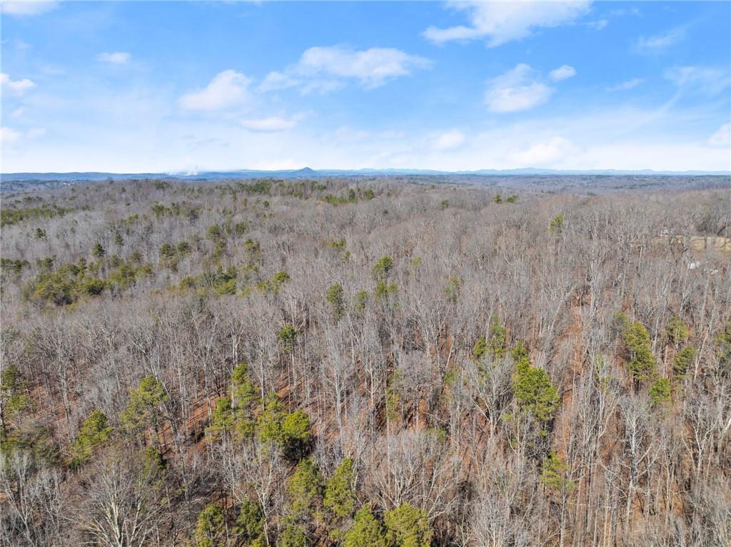 5419 Highway 320 Property Photo 16