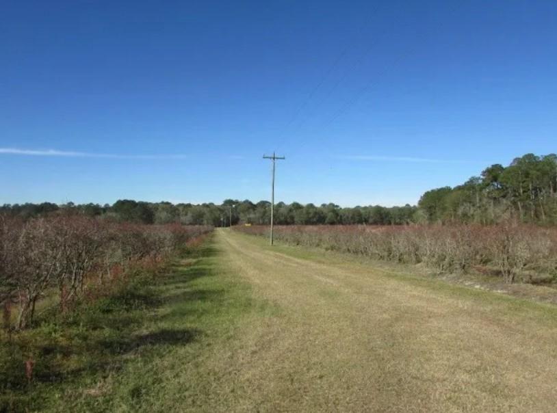 1019 D H Alderman Road Property Photo 11