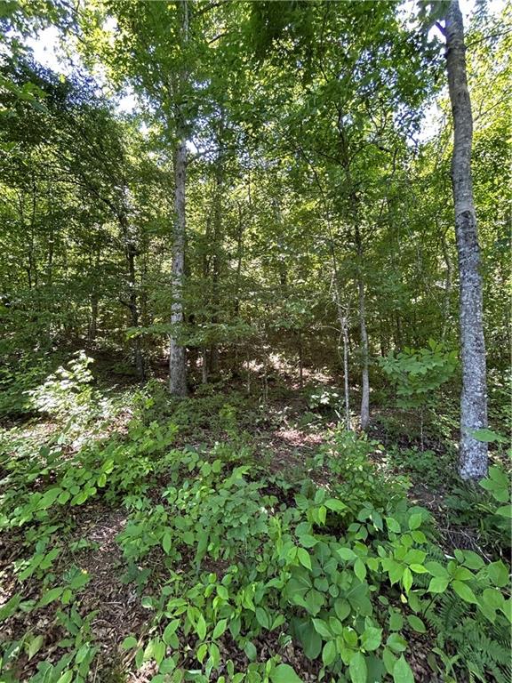 00 Sawtooth Place Property Photo 16