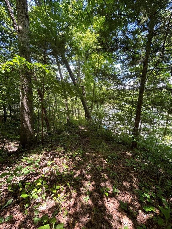 00 Sawtooth Place Property Photo 18