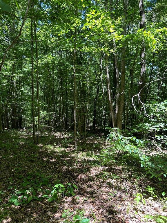 00 Sawtooth Place Property Photo 19