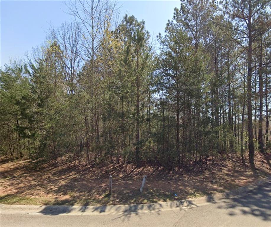 526 Black Horse Circle Property Photo 4