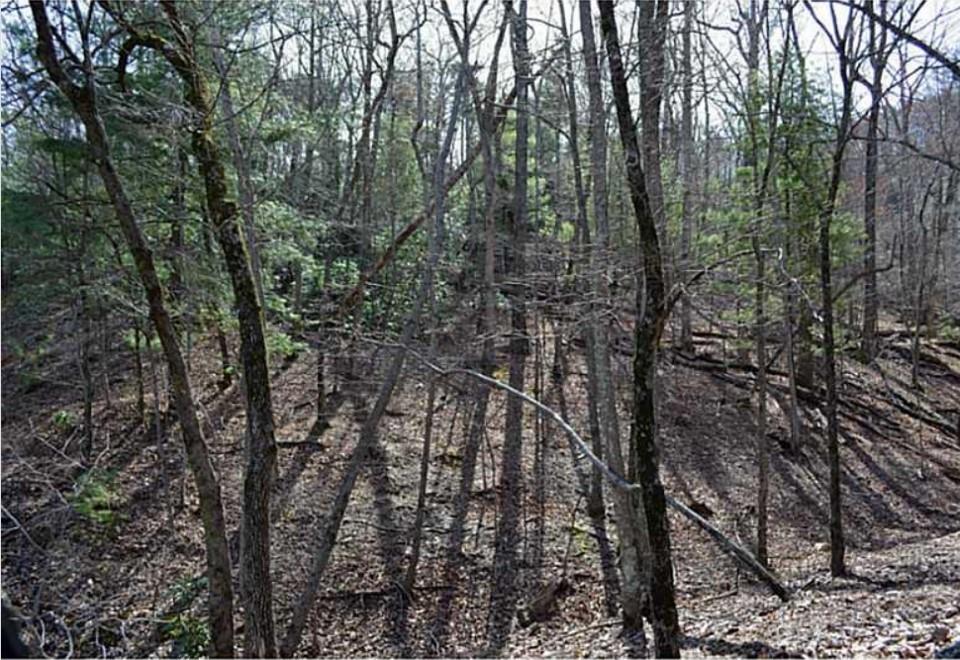 2569 Wilderness Parkway Property Photo 2