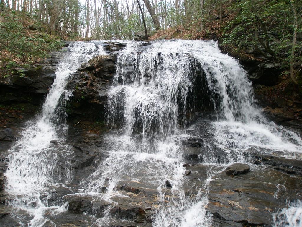 2569 Wilderness Parkway Property Photo 5