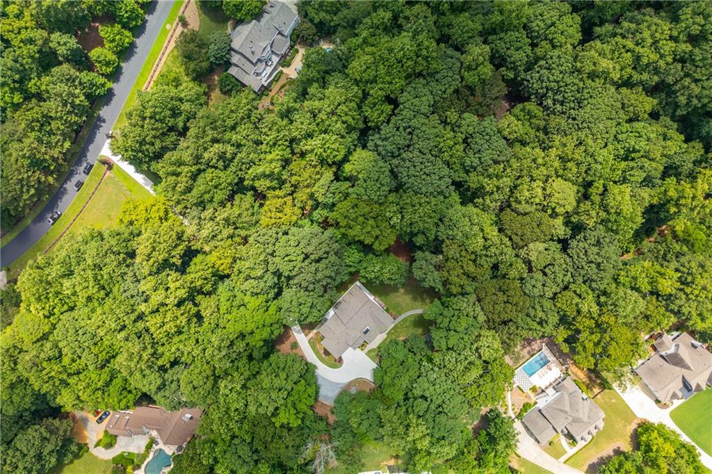 910 Pleasant Hollow Trail Property Photo 3