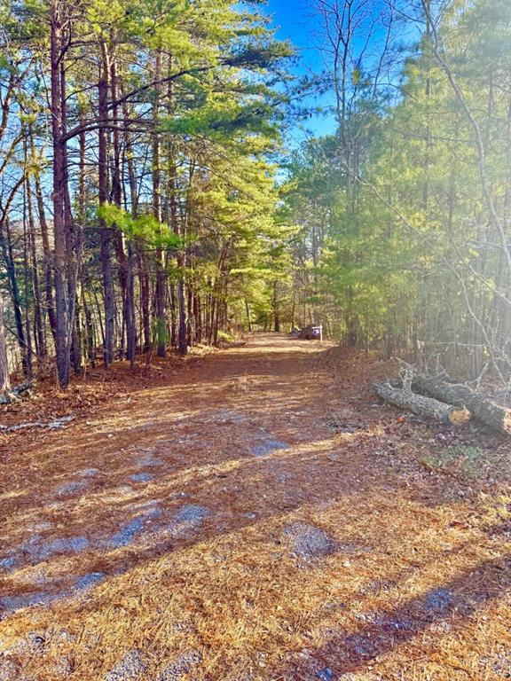 335 Packet Court Property Photo 11