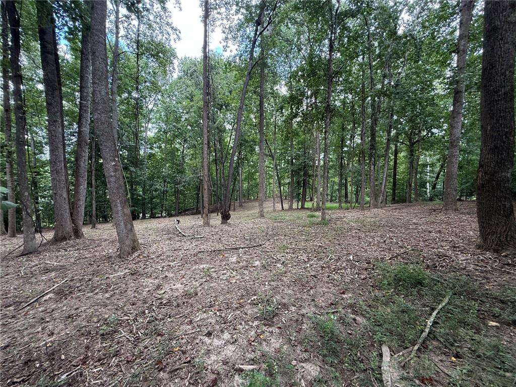 0000 Bailey Mill Rd Road Property Photo 1