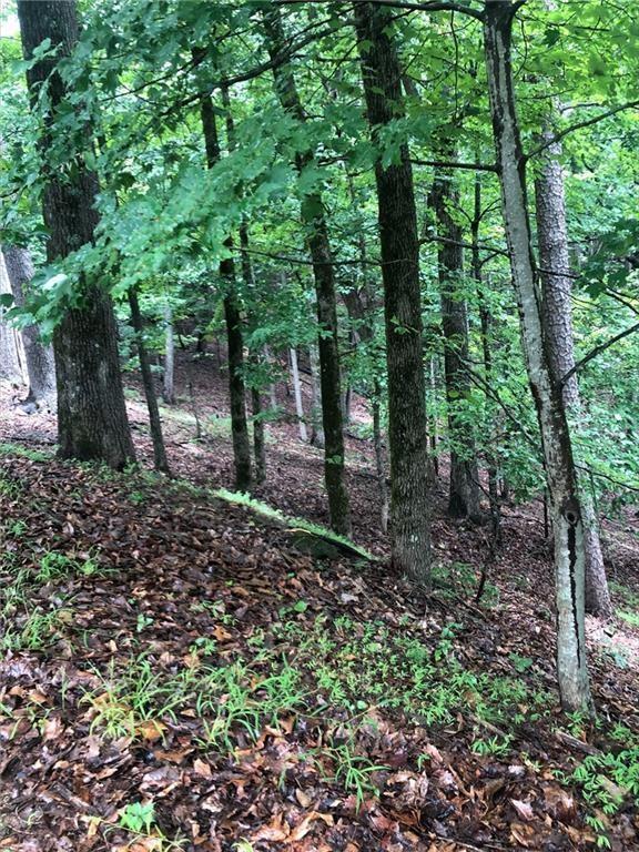 6055 Crested Iris Circle Property Photo 1
